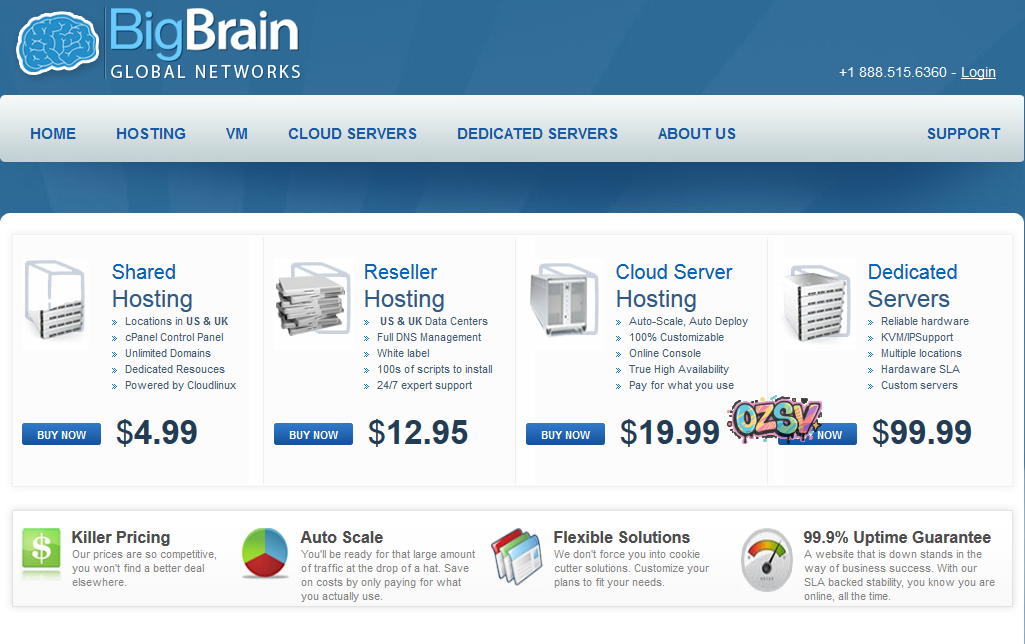 bigbrainglobal bigbrainglobal-终身六折优惠/Onapp