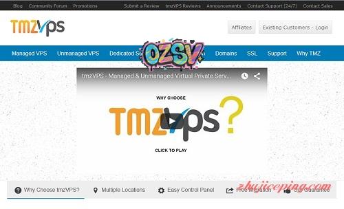 全场8折：tmzvps-8美元/8核/2g内存/100g硬盘/不限流量/1000M端口-欧站网