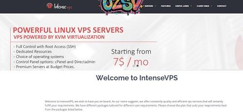 intensevps-$5/kvm/1g内存/40g硬盘/不限流量/G口/Windows-欧站网