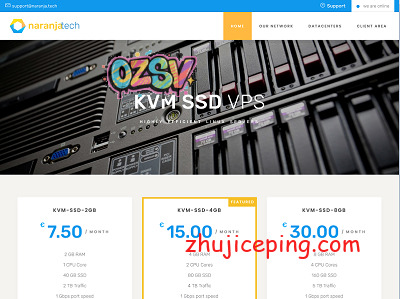 naranjatech：荷兰VPS，€20/年，2G内存/1核(EPYC7542)/30gNVMe/5T流量-欧站网