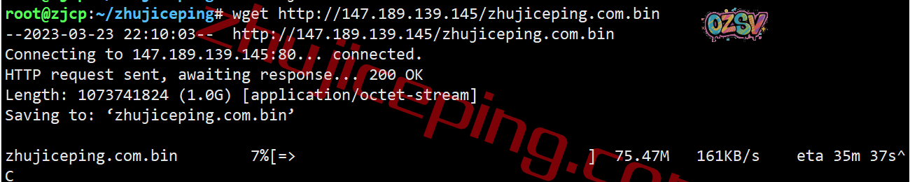 shfll11 smarthost怎么样?简单测评下坦帕(Florida - USA - North)数据中心的VPS