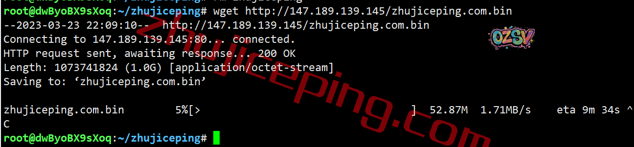 shfll10 smarthost怎么样?简单测评下坦帕(Florida - USA - North)数据中心的VPS