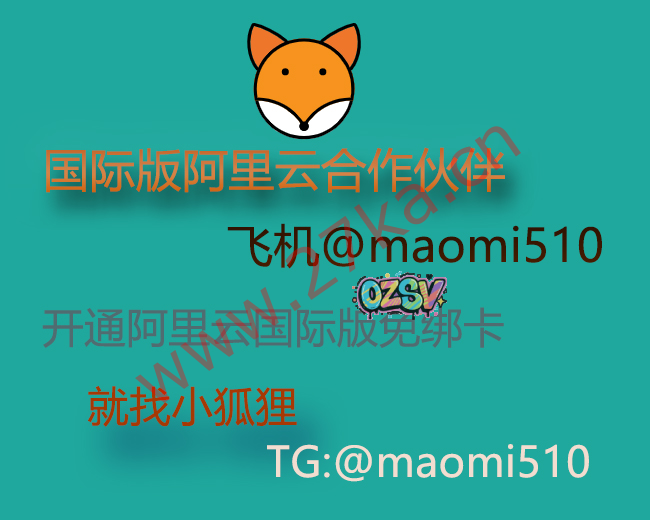 阿里云国际版账号购买云服务器：国际阿里云分销商，注册充值教程-欧站网
