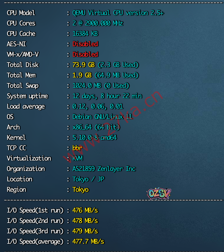 Arkecx日本东京机房的VPS简单测评一下!(1Gbps带宽、全球24个机房可选)-欧站网