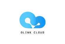 Olink Cloud美国/德国联通AS9929线路VPS及独立服务器终身6折-欧站网