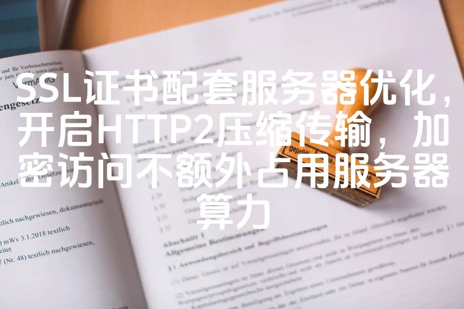 图片[1]_SSL证书配套服务器优化，开启HTTP2压缩传输，加密访问不额外占用服务器算力_欧站速维