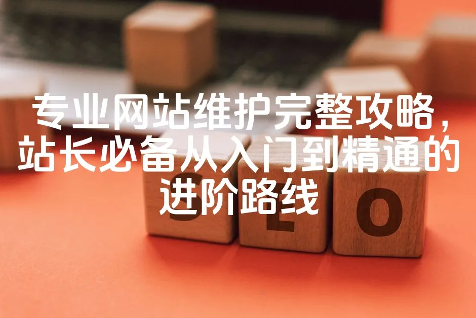 图片[1]_专业网站维护完整攻略，站长必备从入门到精通的进阶路线_欧站速维