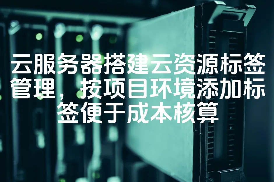 图片[1]_云服务器搭建云资源标签管理，按项目环境添加标签便于成本核算_欧站速维