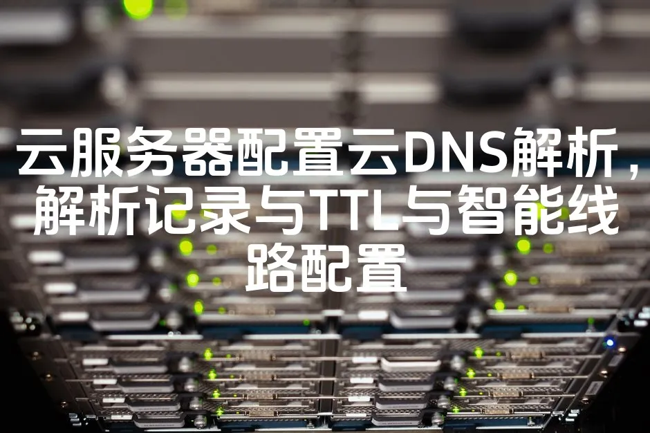 图片[1]_云服务器配置云DNS解析，解析记录与TTL与智能线路配置_欧站速维