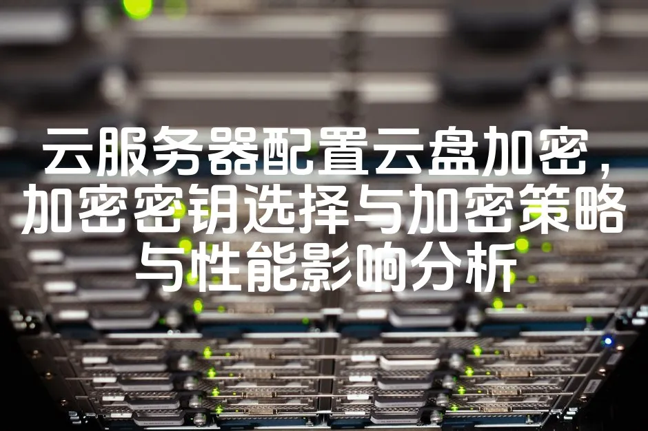 图片[1]_云服务器配置云盘加密，加密密钥选择与加密策略与性能影响分析_欧站速维