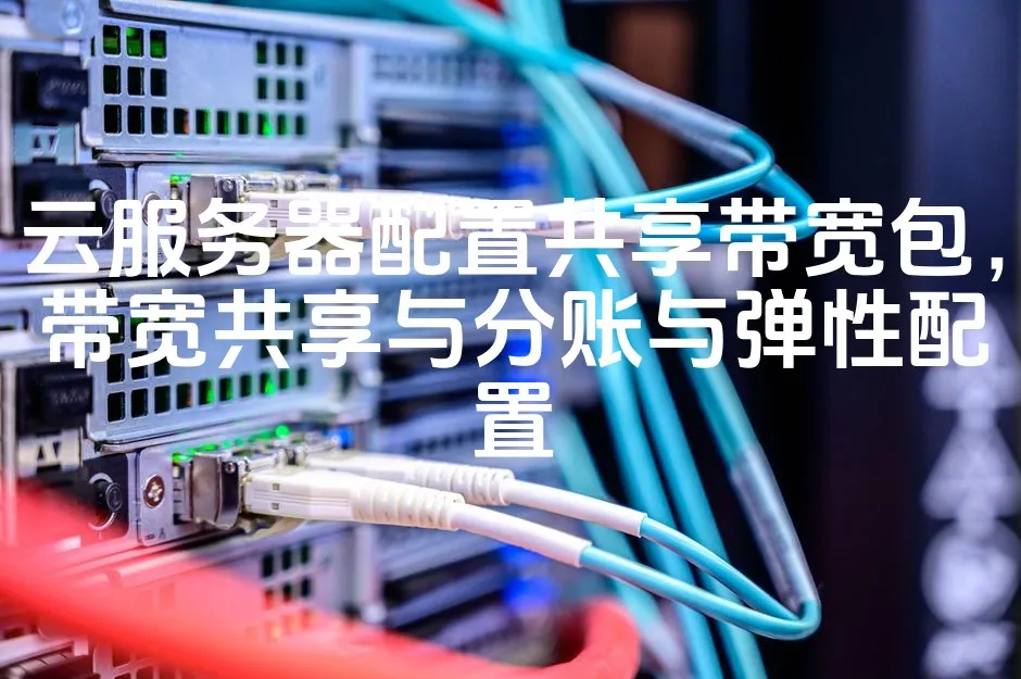 图片[1]_云服务器配置共享带宽包，带宽共享与分账与弹性配置_欧站速维