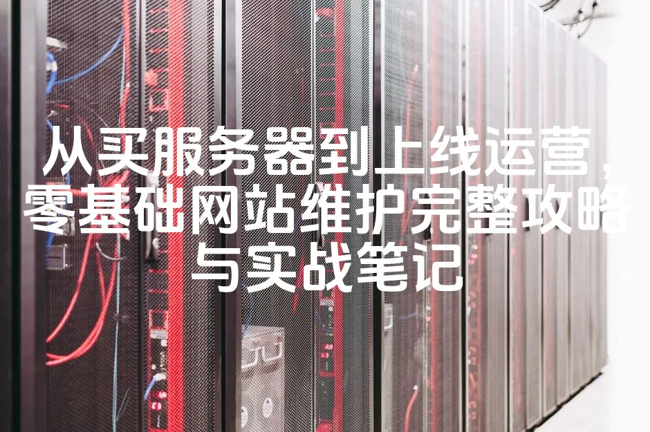 图片[1]_从买服务器到上线运营，零基础网站维护完整攻略与实战笔记_欧站速维