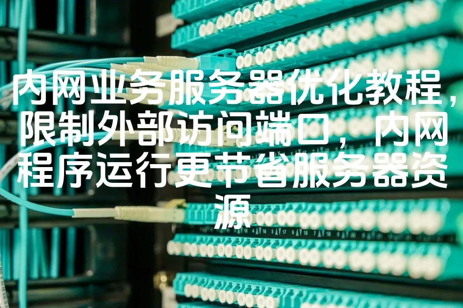 图片[1]_内网业务服务器优化教程，限制外部访问端口，内网程序运行更节省服务器资源_欧站速维