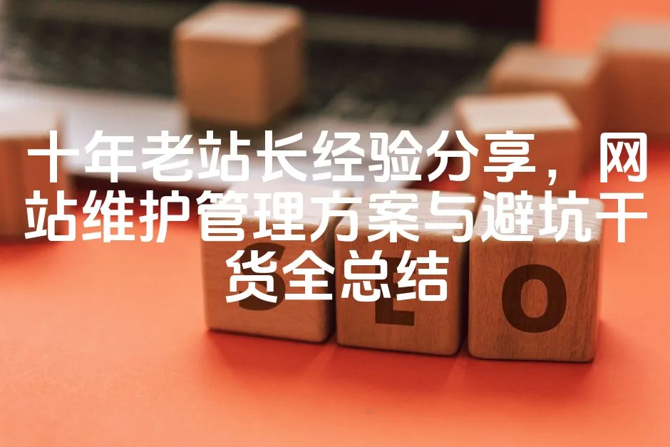 图片[1]_十年老站长经验分享，网站维护管理方案与避坑干货全总结_欧站速维