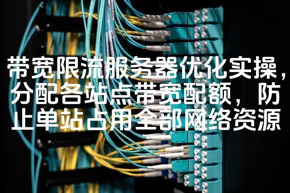 图片[1]_带宽限流服务器优化实操，分配各站点带宽配额，防止单站占用全部网络资源_欧站速维