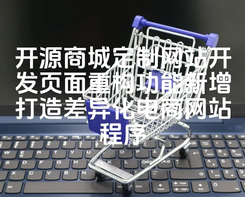 图片[1]_开源商城定制网站开发页面重构功能新增打造差异化电商网站程序_欧站速维