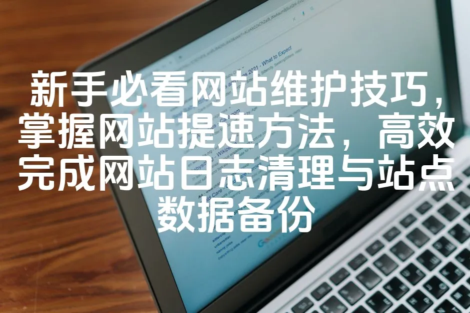 图片[1]_新手必看网站维护技巧，掌握网站提速方法，高效完成网站日志清理与站点数据备份_欧站速维