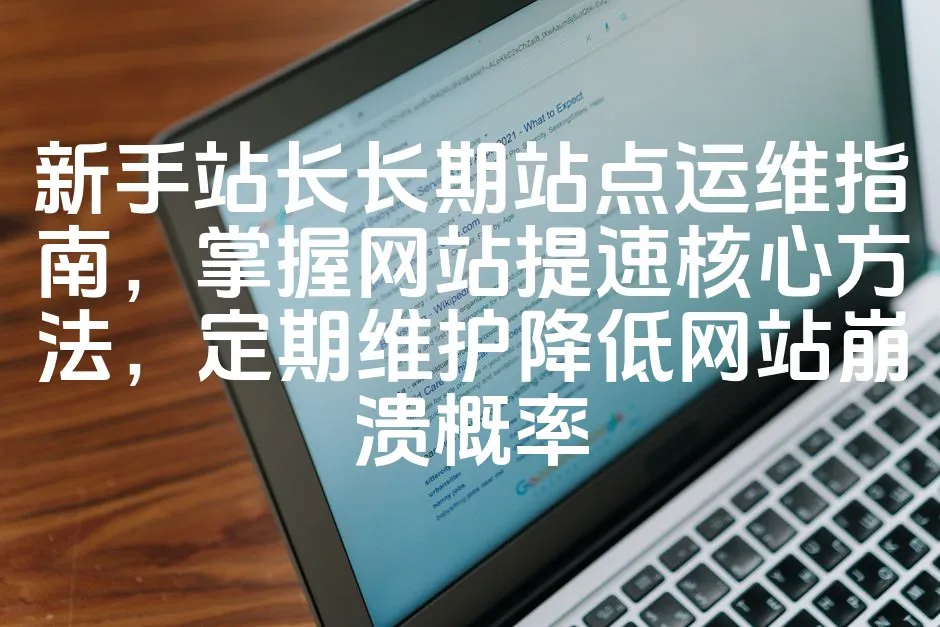 图片[1]_新手站长长期站点运维指南，掌握网站提速核心方法，定期维护降低网站崩溃概率_欧站速维
