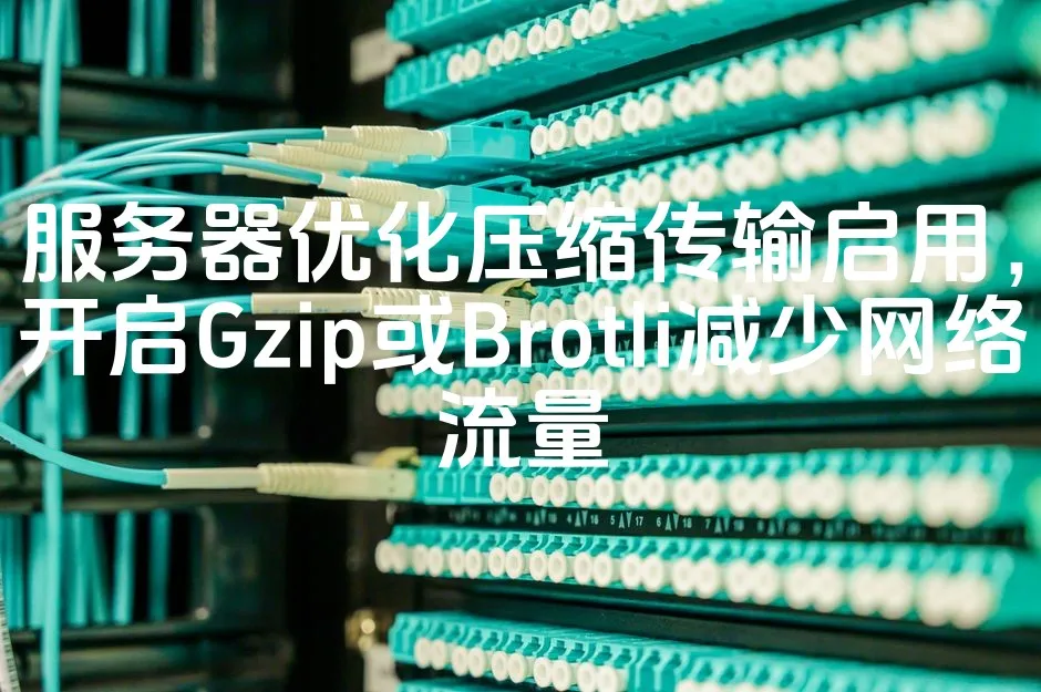 图片[1]_服务器优化压缩传输启用，开启Gzip或Brotli减少网络流量_欧站速维