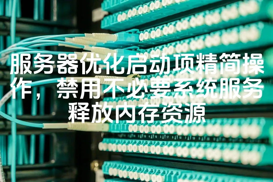 图片[1]_服务器优化启动项精简操作，禁用不必要系统服务释放内存资源_欧站速维