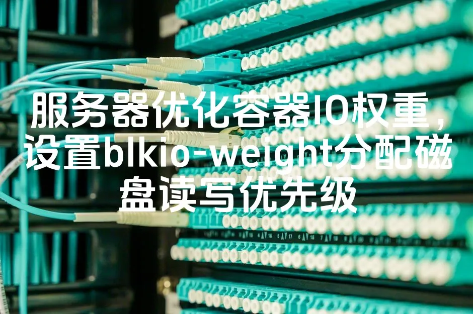 图片[1]_服务器优化容器IO权重，设置blkio-weight分配磁盘读写优先级_欧站速维