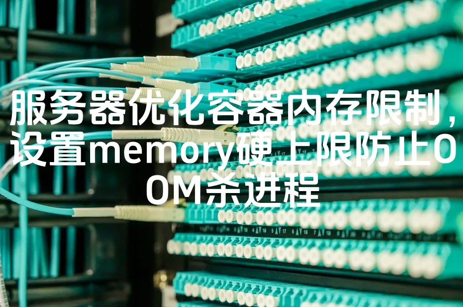 图片[1]_服务器优化容器内存限制，设置memory硬上限防止OOM杀进程_欧站速维