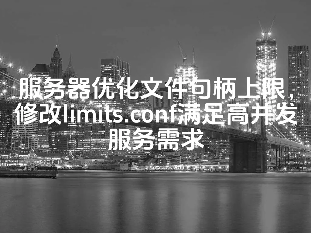 图片[1]_服务器优化文件句柄上限，修改limits.conf满足高并发服务需求_欧站速维