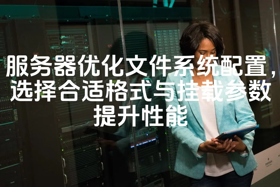 图片[1]_服务器优化文件系统配置，选择合适格式与挂载参数提升性能_欧站速维