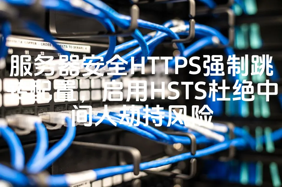 图片[1]_服务器安全HTTPS强制跳转配置，启用HSTS杜绝中间人劫持风险_欧站速维