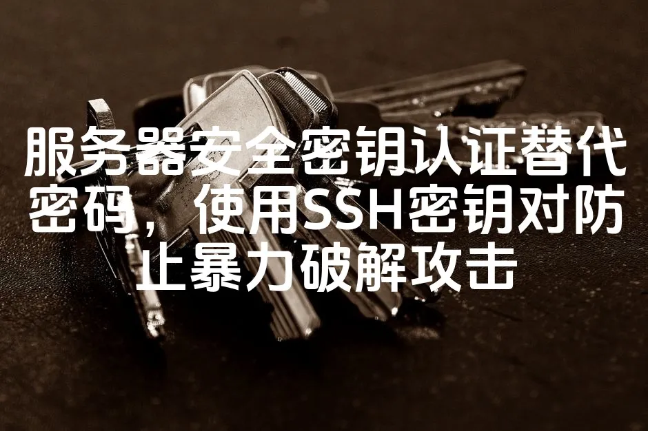 图片[1]_服务器安全密钥认证替代密码，使用SSH密钥对防止暴力破解攻击_欧站速维