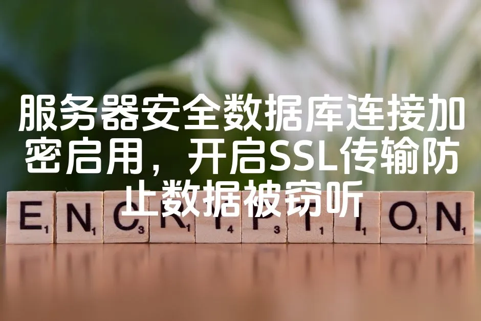 服务器安全数据库连接加密启用，开启SSL传输防止数据被窃听_欧站速维