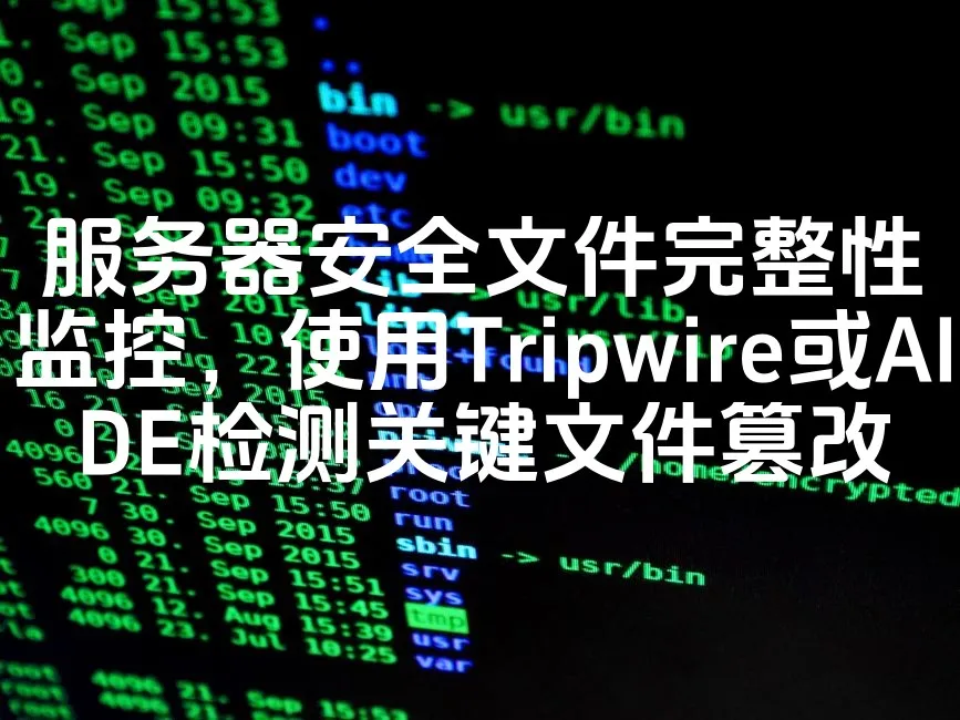 图片[1]_服务器安全文件完整性监控，使用Tripwire或AIDE检测关键文件篡改_欧站速维