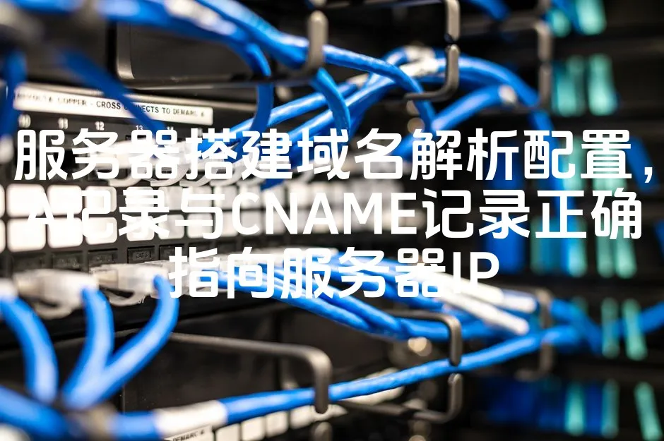 图片[1]_服务器搭建域名解析配置，A记录与CNAME记录正确指向服务器IP_欧站速维
