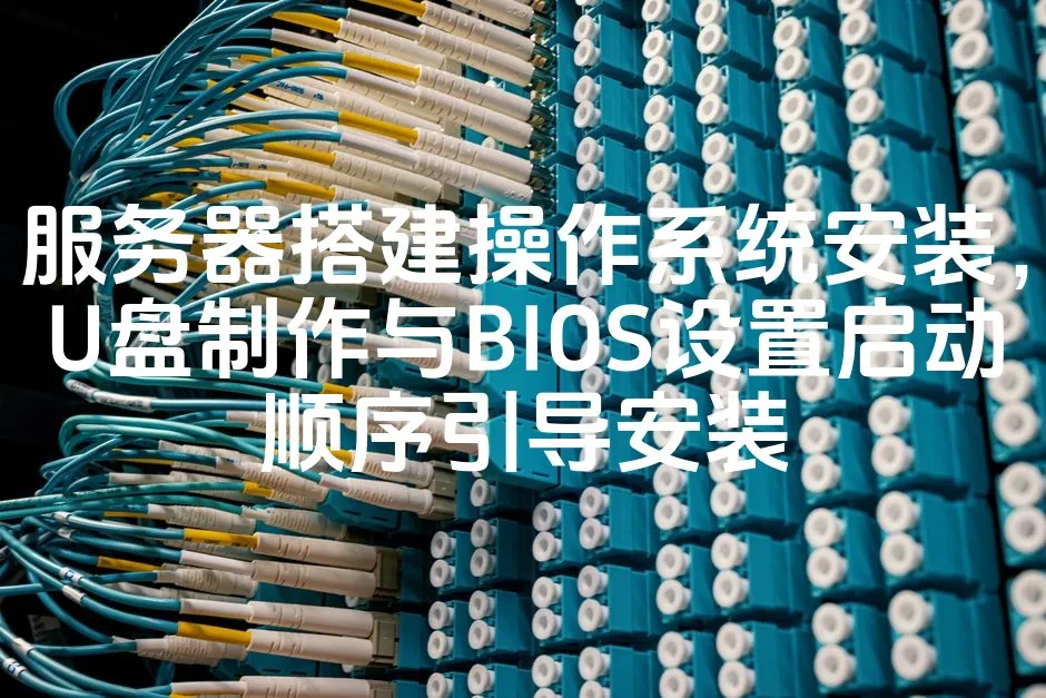 图片[1]_服务器搭建操作系统安装，U盘制作与BIOS设置启动顺序引导安装_欧站速维