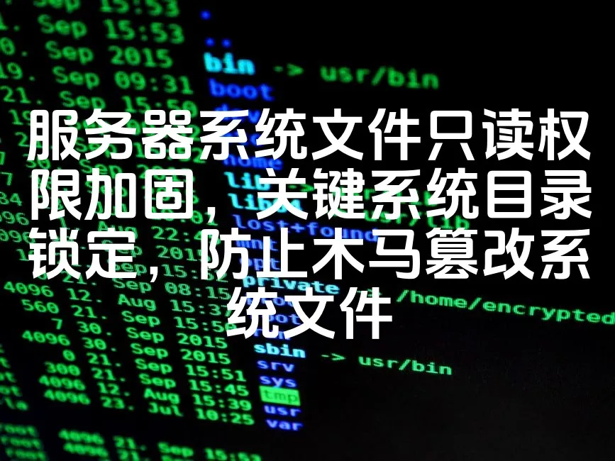 图片[1]_服务器系统文件只读权限加固，关键系统目录锁定，防止木马篡改系统文件_欧站速维