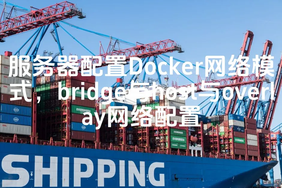 图片[1]_服务器配置Docker网络模式，bridge与host与overlay网络配置_欧站速维