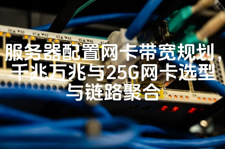图片[1]_服务器配置网卡带宽规划，千兆万兆与25G网卡选型与链路聚合_欧站速维