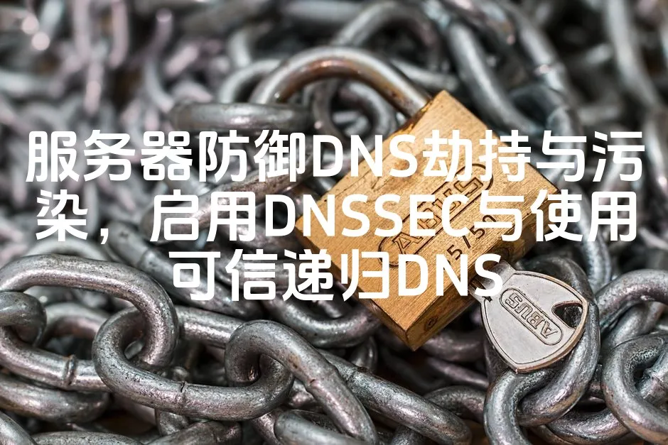 图片[1]_服务器防御DNS劫持与污染，启用DNSSEC与使用可信递归DNS_欧站速维