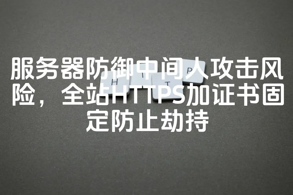 图片[1]_服务器防御中间人攻击风险，全站HTTPS加证书固定防止劫持_欧站速维