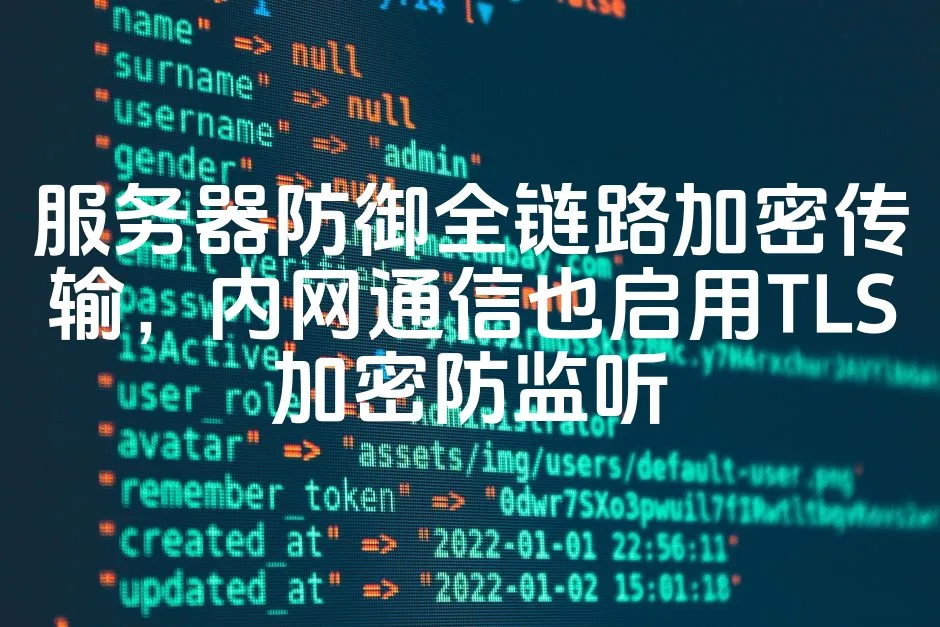 图片[1]_服务器防御全链路加密传输，内网通信也启用TLS加密防监听_欧站速维
