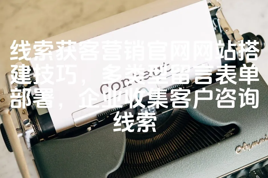 图片[1]_线索获客营销官网网站搭建技巧，多类型留言表单部署，企业收集客户咨询线索_欧站速维
