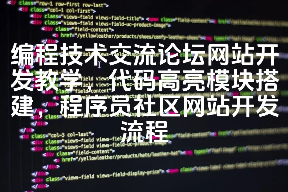 图片[1]_编程技术交流论坛网站开发教学，代码高亮模块搭建，程序员社区网站开发流程_欧站速维