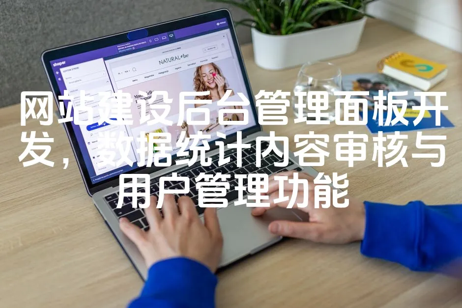 图片[1]_网站建设后台管理面板开发，数据统计内容审核与用户管理功能_欧站速维