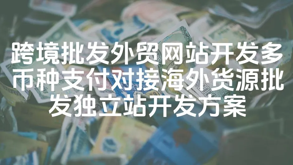图片[1]_跨境批发外贸网站开发多币种支付对接海外货源批发独立站开发方案_欧站速维