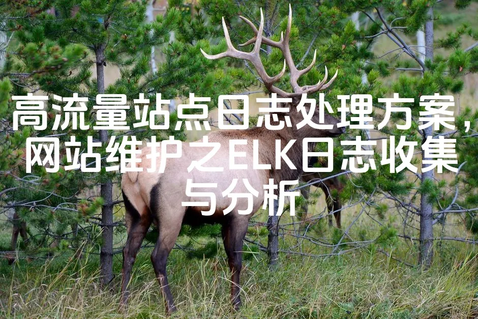 图片[1]_高流量站点日志处理方案，网站维护之ELK日志收集与分析_欧站速维